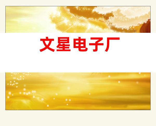 文星电子厂